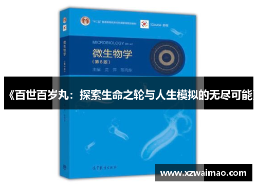 《百世百岁丸：探索生命之轮与人生模拟的无尽可能》